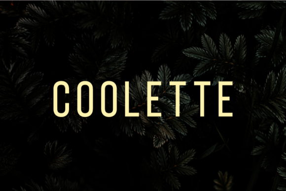 Coolette: A Clean Sans Serif Typeface for Modern Editorial Design
