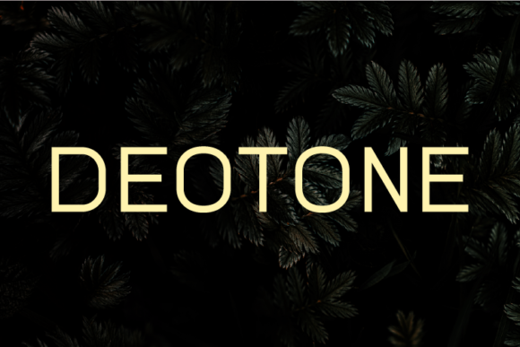 Deotone: A Clean Sans Serif Font for Small Business Branding