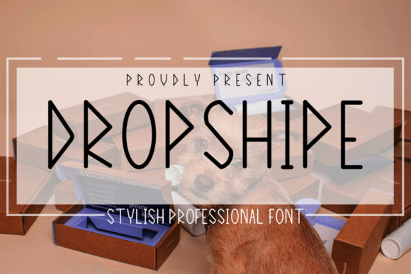 Dropshipe: A Modern Sans Serif Font for Small Business Branding