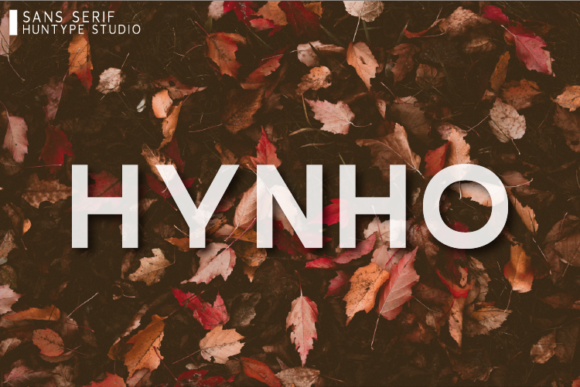 Hynho: A Modern Sans Serif Typeface for Digital Design