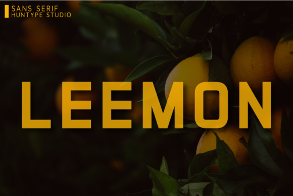 Leemon Font Review: A Clean Sans Serif for Small Business Branding