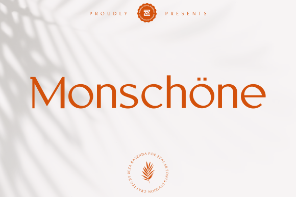 Monschone: A Designer’s Honest Review for Branding