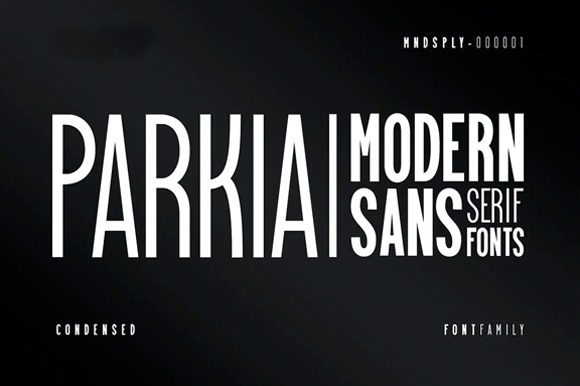 Parkia: A Clean Sans Serif Font for Modern Web Design