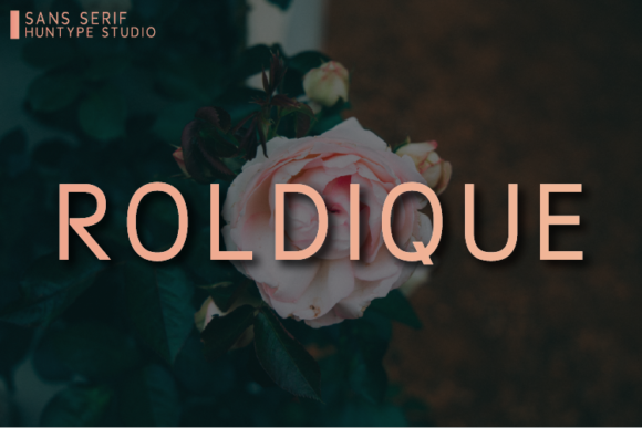 Roldique: A Clean Sans Serif Font for Editorial Design