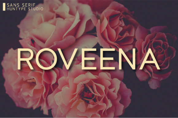 Roveena: A Clean Typeface for Clear Campaigns
