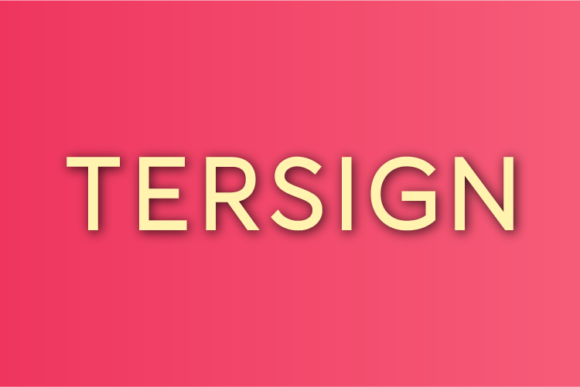 Tersign: A Clean Sans Serif Typeface for Modern Editorial Design